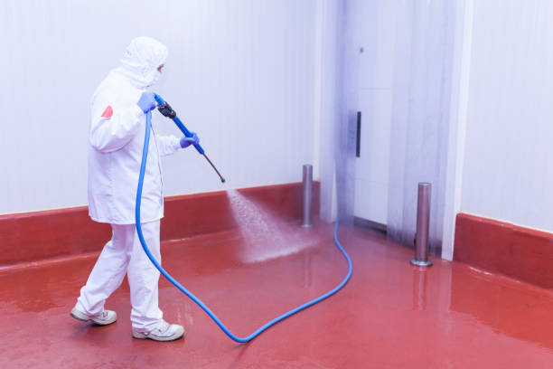 Best Graffiti Removal  in Bally, PA