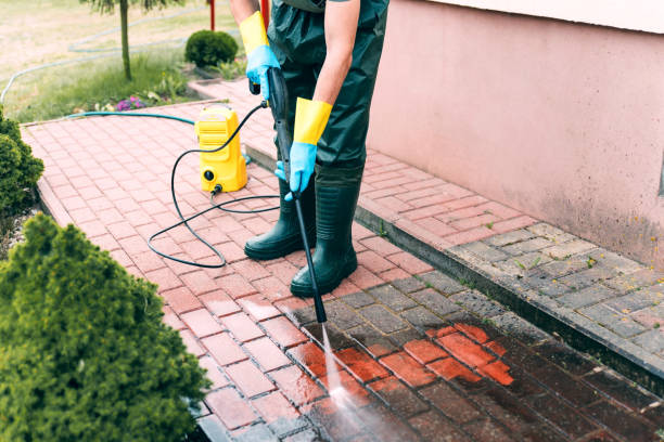 Best Solar Panel Cleaning  in Bally, PA